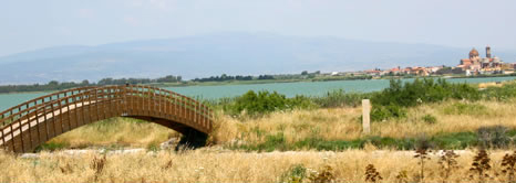 Valli del Tirso