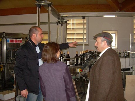 immagine-008.jpg