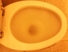 dsc_0273.JPG